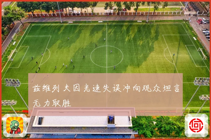 兹维列夫因光速失误冲向观众坦言无力取胜